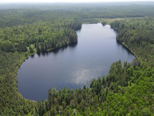 TBD Holm Logging Rd, Cook, MN, 55723 | Card Image
