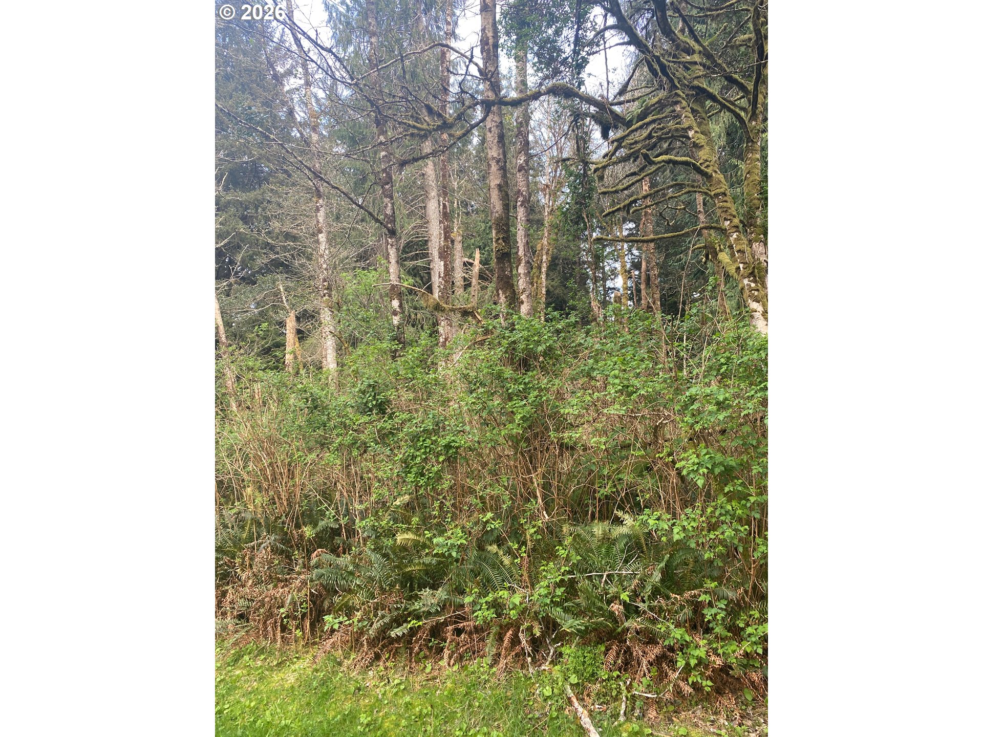 Land in LincolnCity