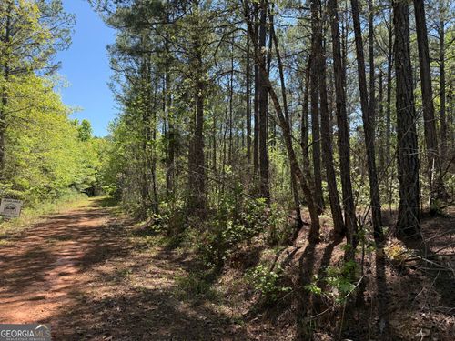 19.74 ACRES Davis Lake Rd, Pine Mountain, GA, 31822 | Card Image