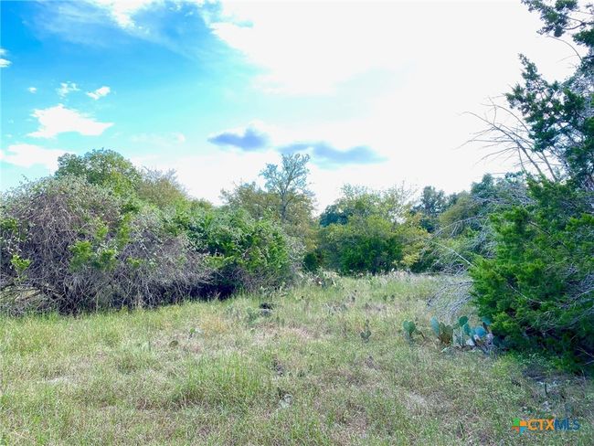 63 Cedar Trails Dr, Home with 0 bedrooms, 0 bathrooms and null parking in Morgans Point Resort TX | Image 4