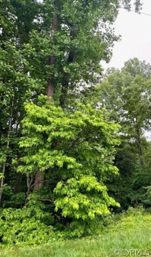 142B Tennis Ln, Ruther Glen, VA, 22546 | Card Image