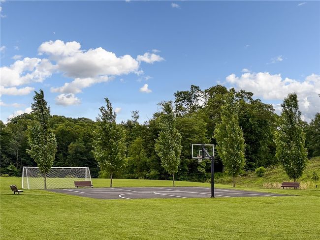 Basketball Court And Room To Run And Play | Image 49