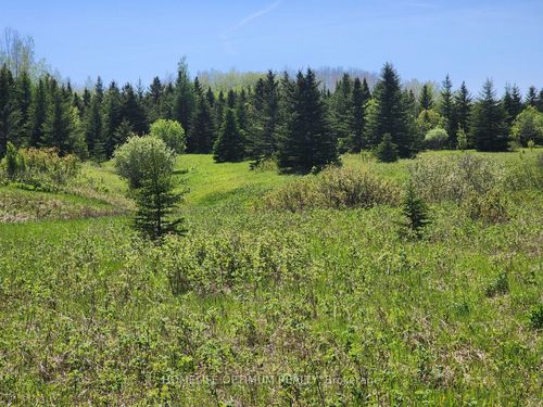 LOT 10 CON 5 N/A N/A, Black River Matheson, ON, P0K1N0 | Card Image