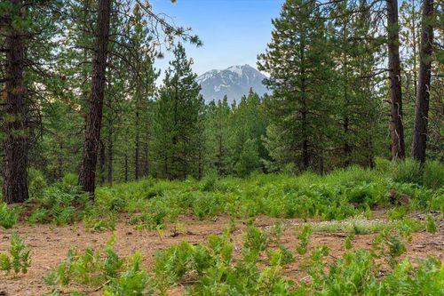 Lot A Timber Country Ranch Rd, McCloud, CA, 96057 | Card Image