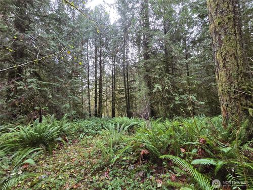 245 Cousins Rd, Chehalis, WA, 98532-9055 | Card Image