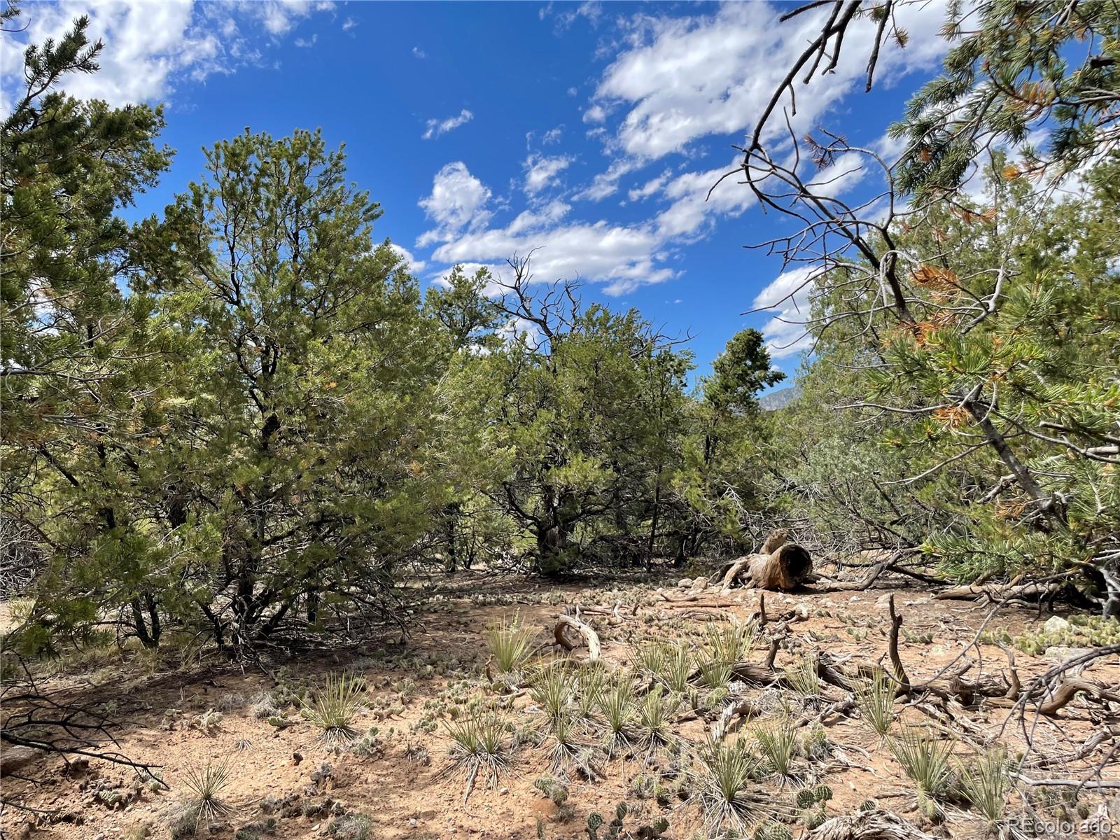 Land in Crestone 3