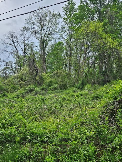 00 Euclid Ave, Marion, VA, 24354 | Card Image