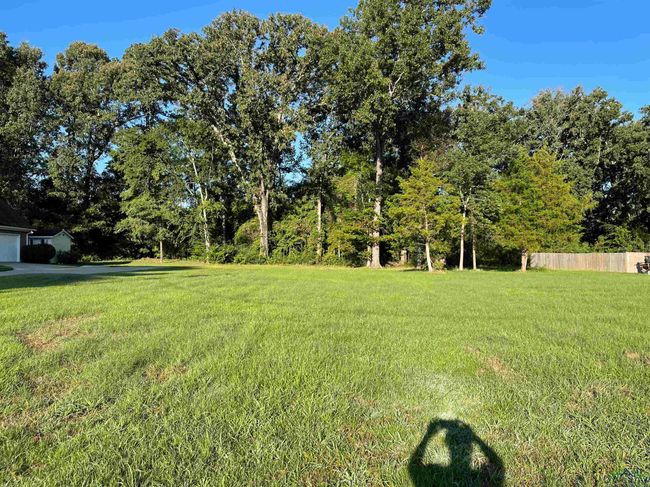 905 University Dr, Home with 0 bedrooms, 0 bathrooms and null parking in Carthage TX | Image 4