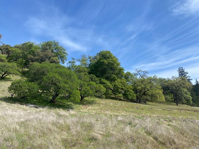 19010 Hulbert Rd, Home with 0 bedrooms, 0 bathrooms and null parking in Yorkville CA | Image 6