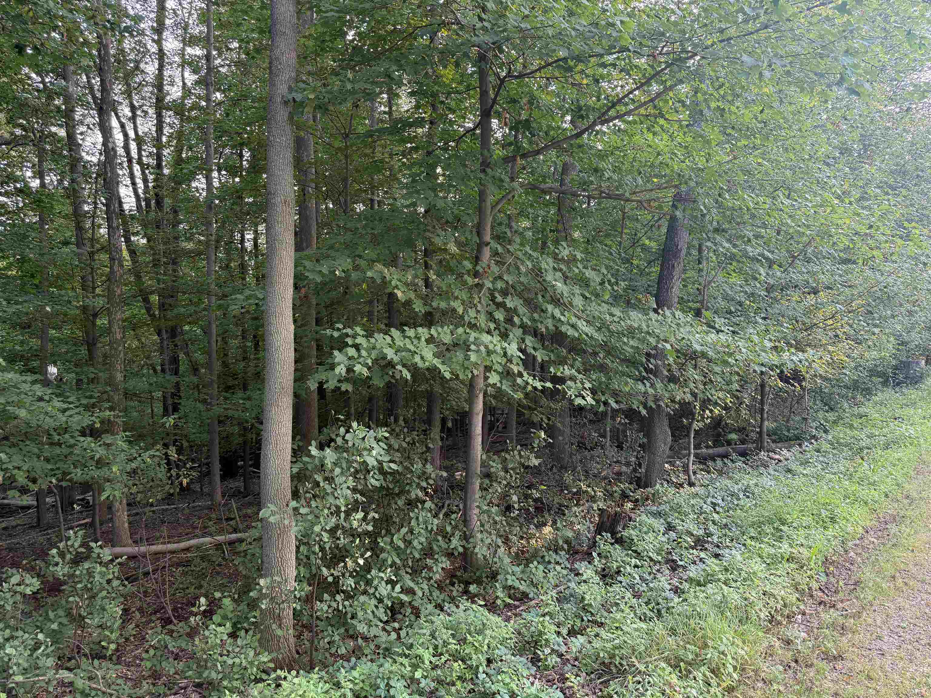 Land in Wausau 3