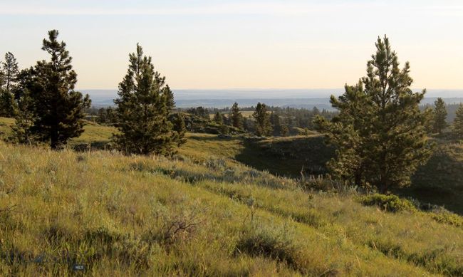SC-28 - TBD Lone Rock Canyon Lane, Home with 0 bedrooms, 0 bathrooms and null parking in Hysham MT | Image 24