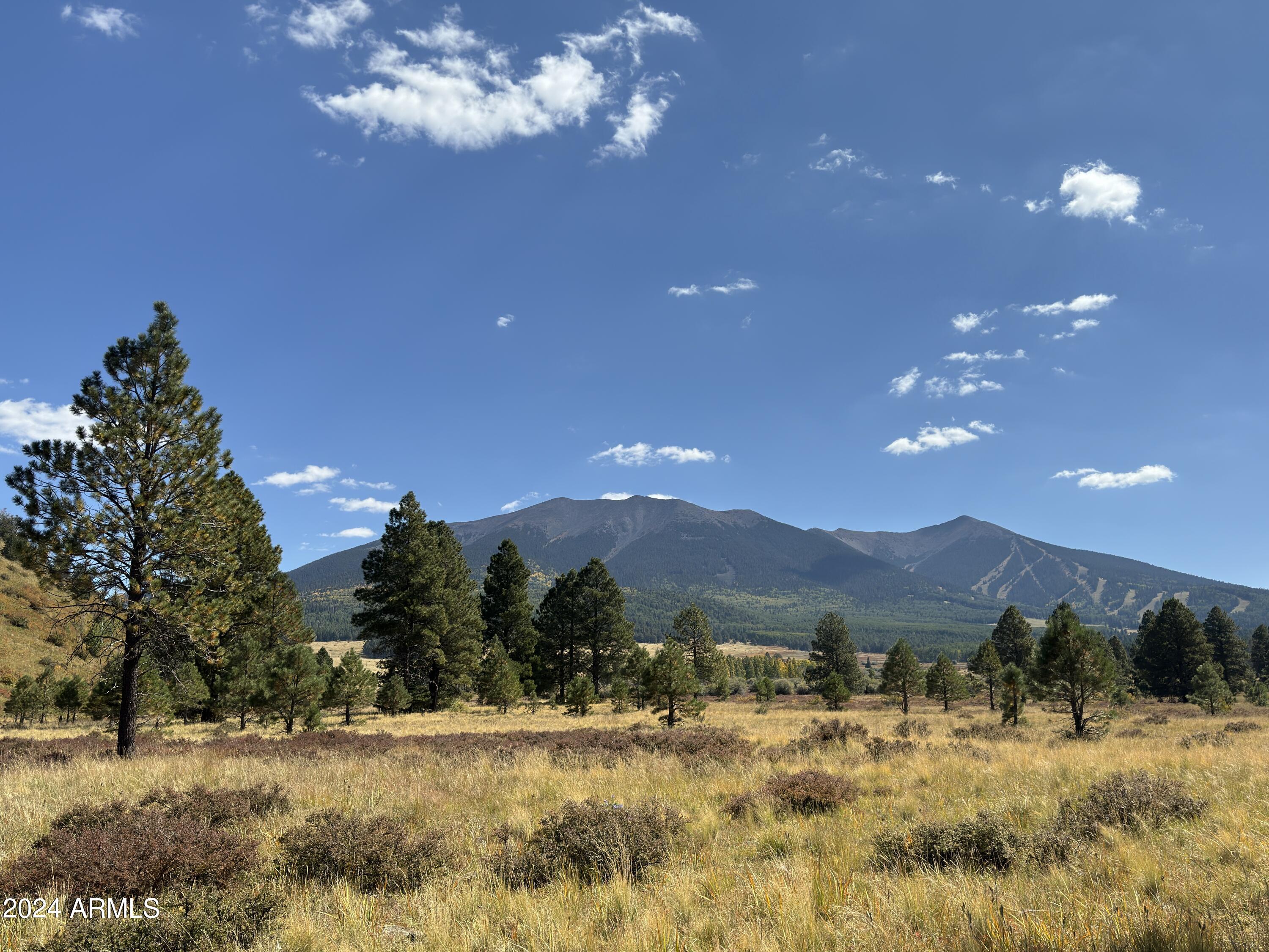 Land in Flagstaff 3