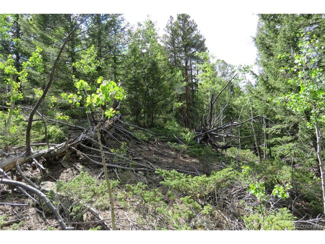 0 Come And See Mine, Home with 0 bedrooms, 0 bathrooms and null parking in Central City CO | Image 7