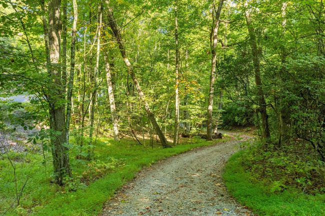 884 Ducks Nest Rd, House other with 1 bedrooms, 1 bathrooms and null parking in Turtletown TN | Image 9