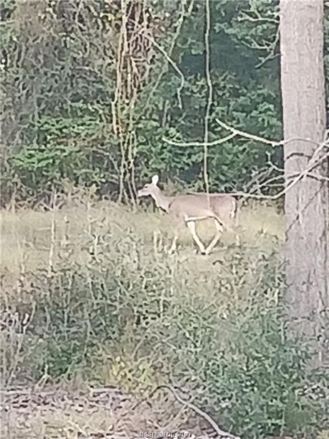 View of nature | Image 6