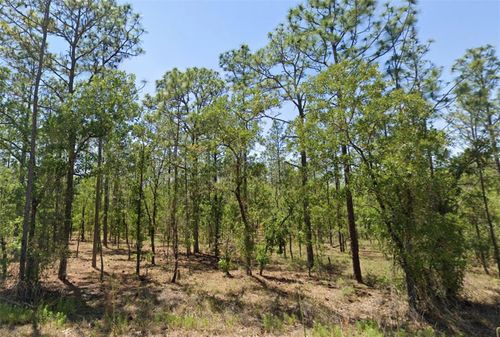 00 Nw Narcissus Rd, Dunnellon, FL, 34431 | Card Image