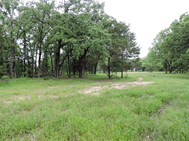 0 E Highway 175, Home with 0 bedrooms, 0 bathrooms and null parking in Mabank TX | Image 13