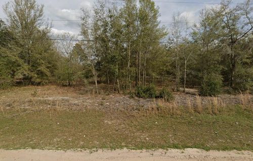 LOT 15 Marion Ave, Interlachen, FL, 32148 | Card Image