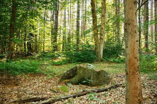 Lot 1 Woodstone Trail, Lumberland, NY, 12737 | Card Image