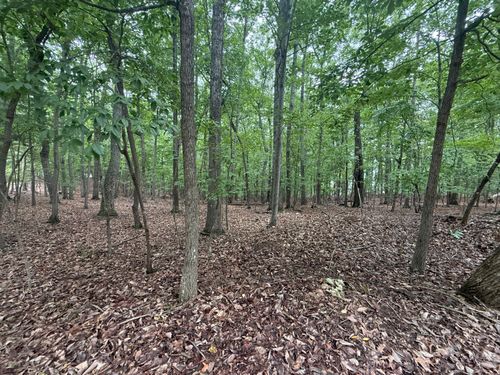 Lot 18 Saunders Point Rd, Huddleston, VA, 24104 | Card Image