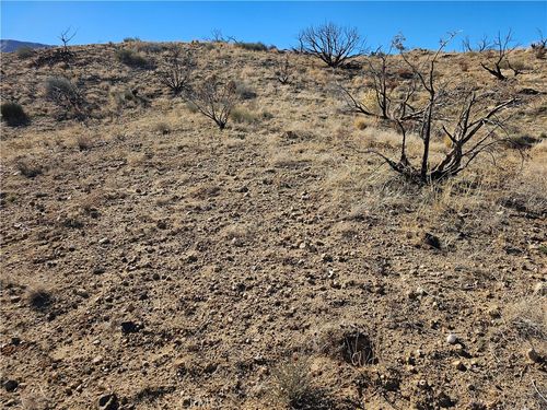 6 128th St E, Pearblossom, CA, 93553 | Card Image