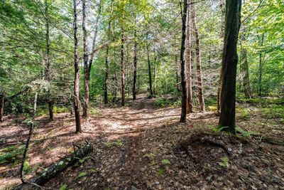 55 Otis Tolland Rd, Lot 2, Home with 0 bedrooms, 0 bathrooms and null parking in Blandford MA | Image 1