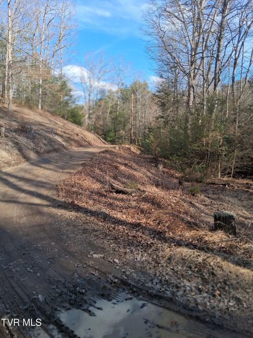 Tbd Gullion Fork Road, Wytheville, VA, 24382 | Card Image