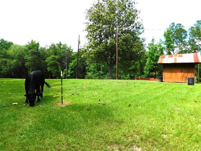 1305 Boyd Rd, Home with 3 bedrooms, 2 bathrooms and 2 parking in Bronson TX | Image 13