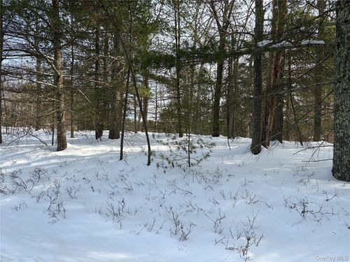 1 Willow Ln, Glen Spey, NY, 12737-5537 | Card Image