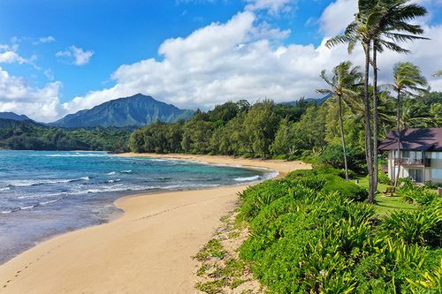 j3-decjan-1-5-7130 Kuhio Hwy, Princeville, HI, 96722 | Card Image