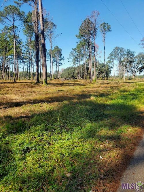 22601 Fletcher Rd, Ponchatoula, LA, 70454-5439 | Card Image