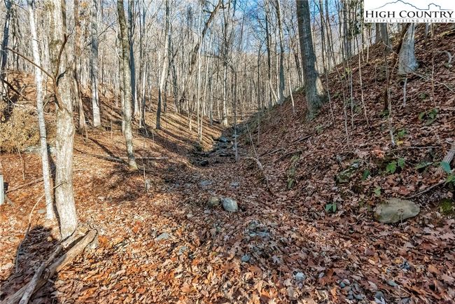 Another view of the stream . Your home would be lovely built to the left looking down on teh stream | Image 5