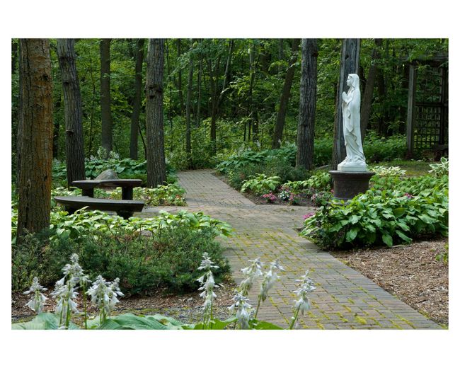 Meditate and relax with the sounds of nature in the Rosary Garden | Image 73