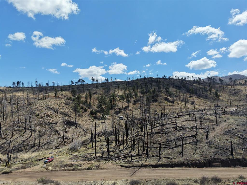 Land in Fort Garland 4