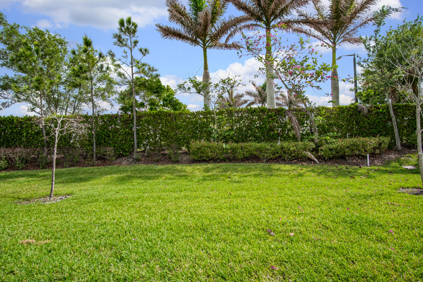 Residential in Port St Lucie 4