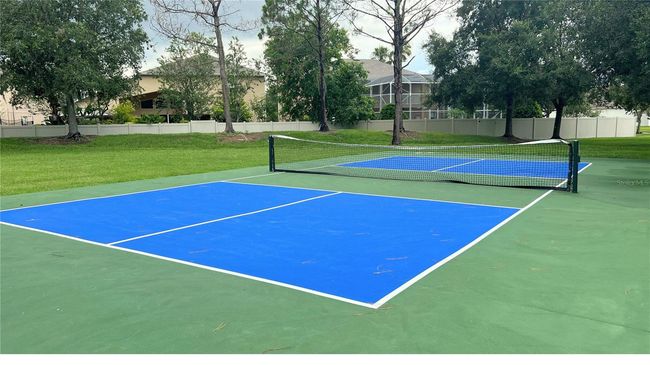 Community Pickleball Court | Image 38