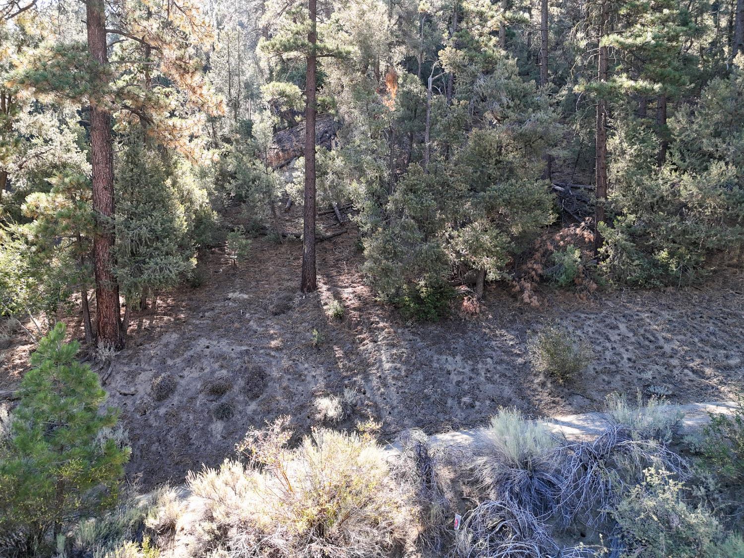 Land in Frazier Park 3