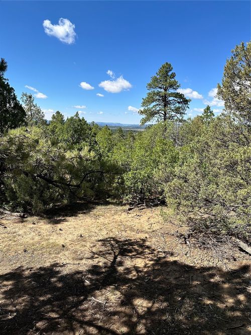 99 Private Drive 1781a, Chama, NM, 87520 | Card Image