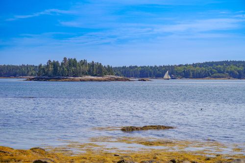 423 Martin Point Road, Friendship, ME, 04547 | Card Image