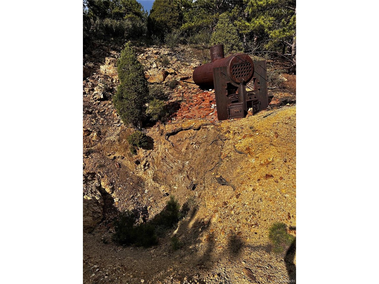 Land in Dumont 5