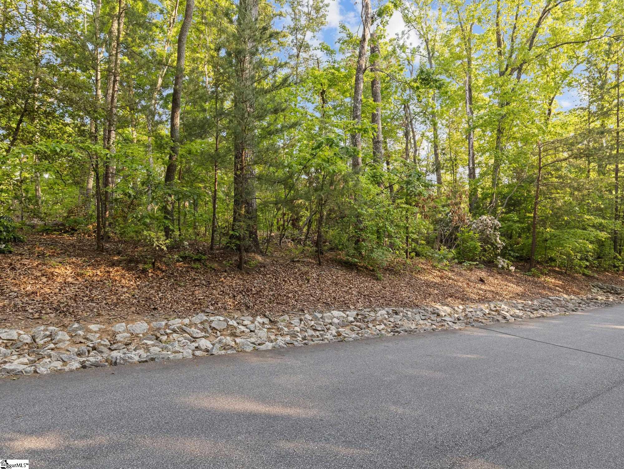 Land in Travelers Rest 2
