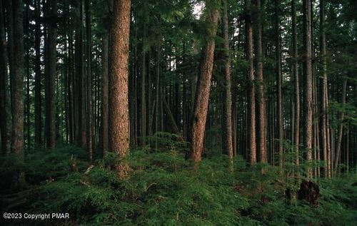 Lot 204 Skyline Dr, Blakeslee, PA, 18610-7904 | Card Image