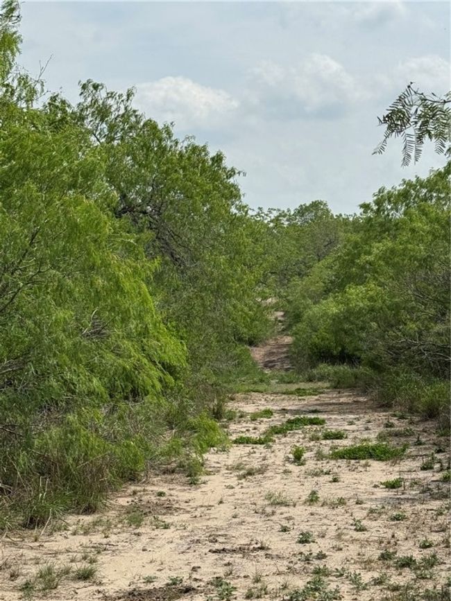 5525 Ravine Rd, Home with 0 bedrooms, 0 bathrooms and null parking in Robstown TX | Image 7
