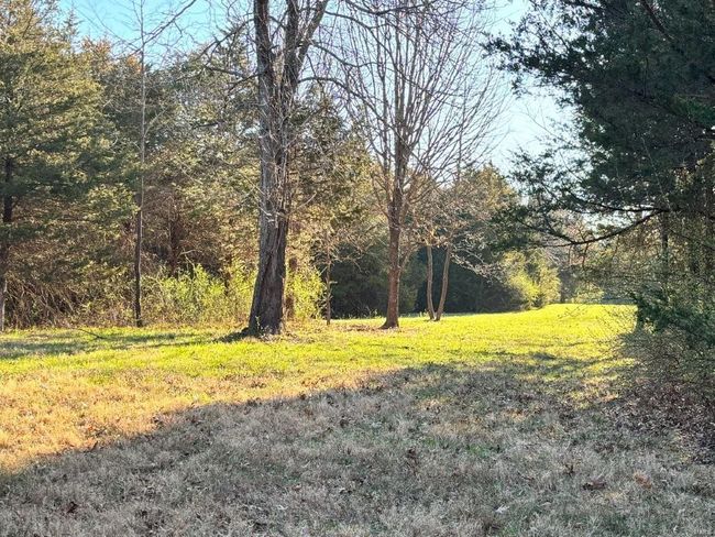 View of yard with a forest view | Image 18