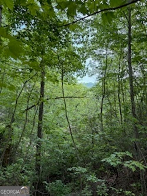 LOT SM4 Raven Fork Trl, Dillard, GA, 30537 | Card Image