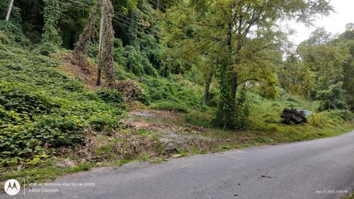 3748 Trail Hollow Rd, Hartford, TN, 37753-2118 | Card Image