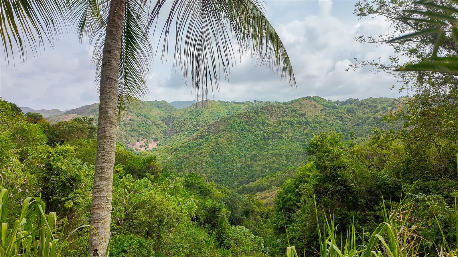 Residential en venta en CIALES, Dirección no disponible, 69161 m²