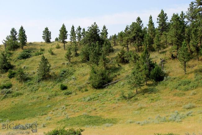 SC-28 - TBD Lone Rock Canyon Lane, Home with 0 bedrooms, 0 bathrooms and null parking in Hysham MT | Image 16