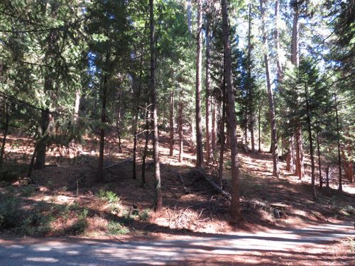 172 Sylvan Rd, Colfax, CA, 95713-9419 | Card Image