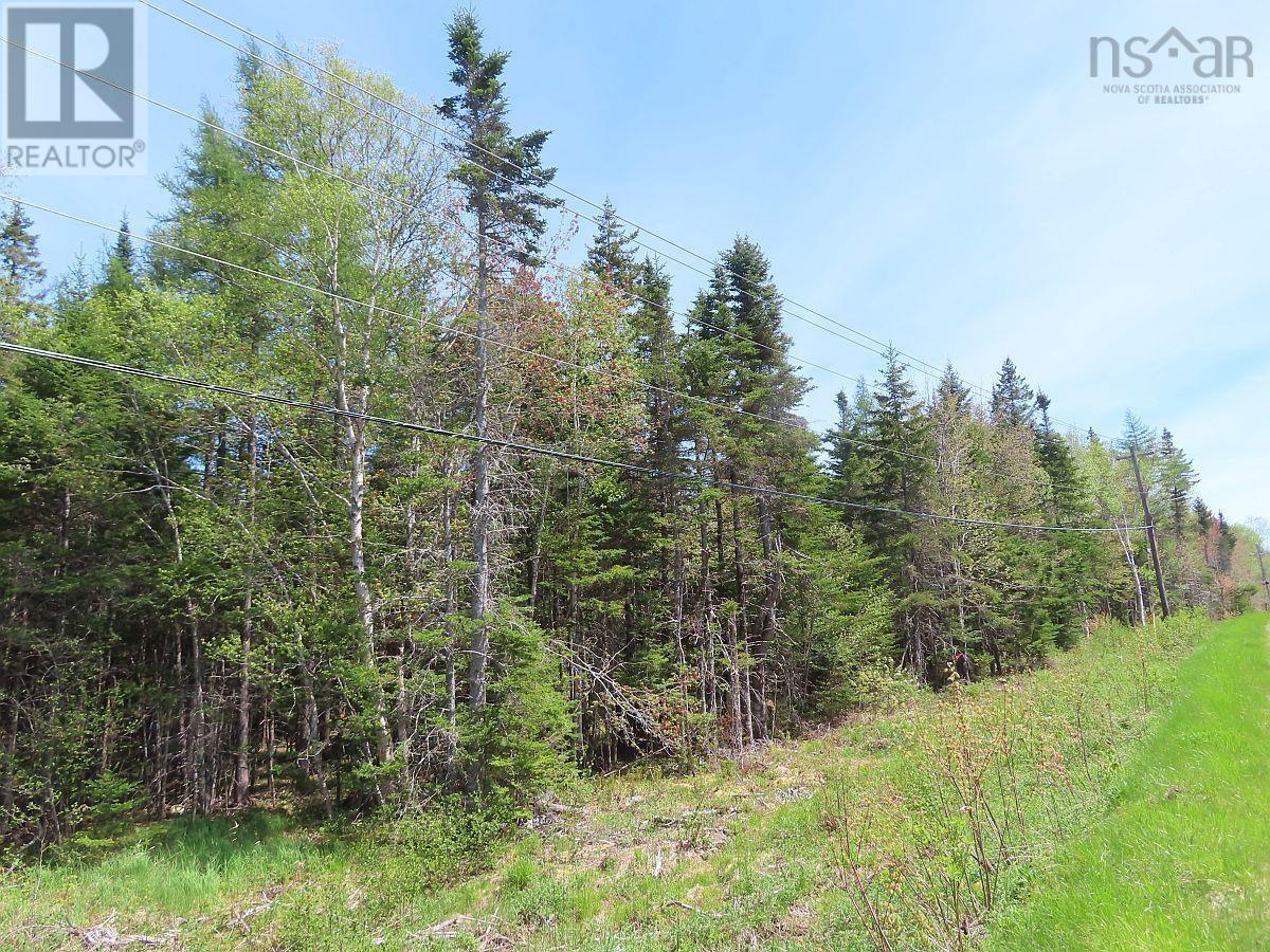 Land in Grantville 5